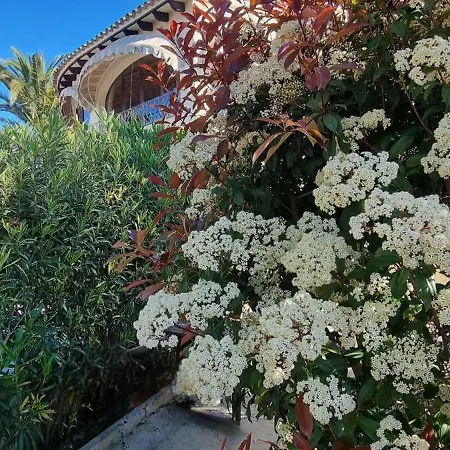 Les Palmeres Teulada