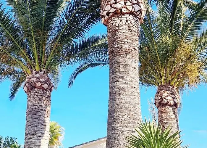 Les Palmeres Апартаменты Теулада